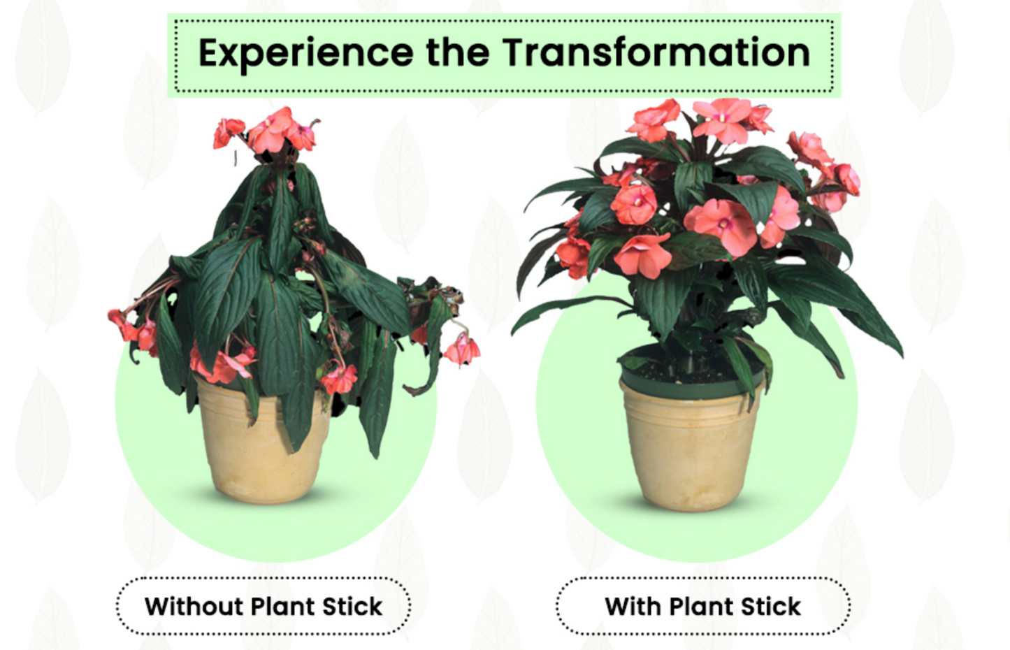 Plant Grow Fertilizer Sticks For Plants - 25 Stick